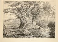 Бретон, Луи