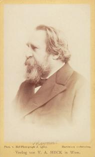 Теодор Мейнерт